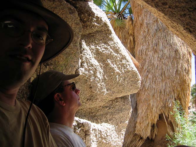 Hiding under a rock.