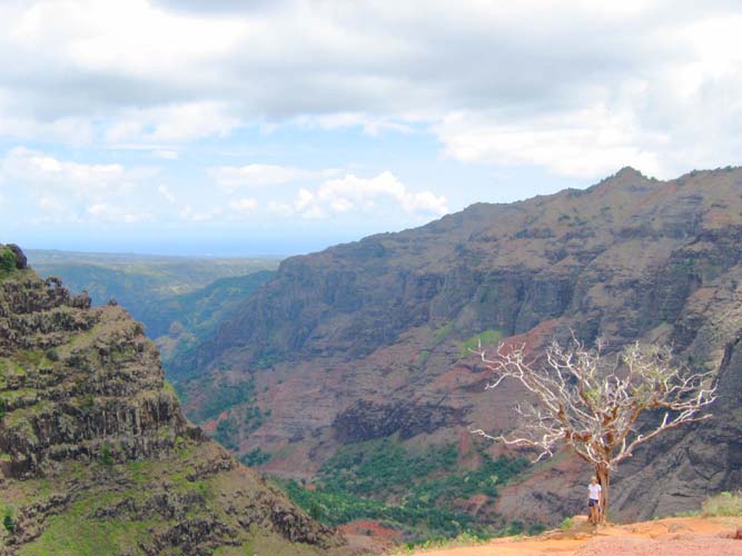 Big Canyon, Little Katy