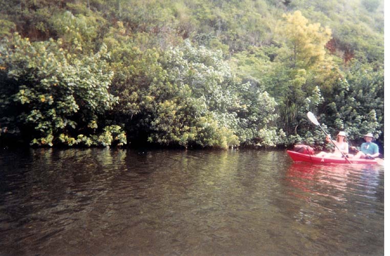 Katy Paddles, I Steer